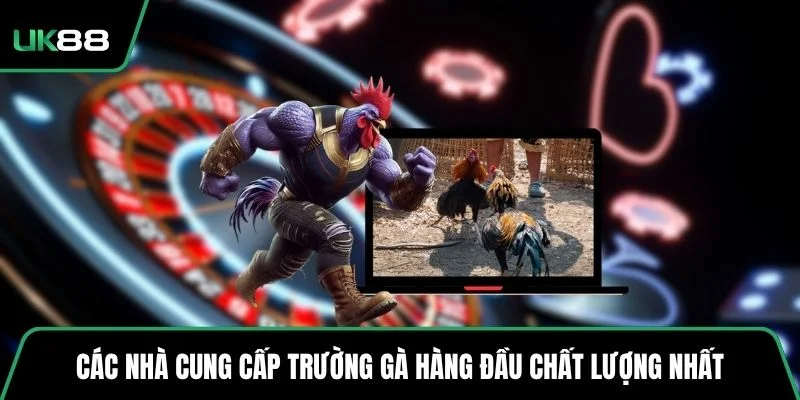 Các nhà cung cấp trường gà hàng đầu chất lượng nhất