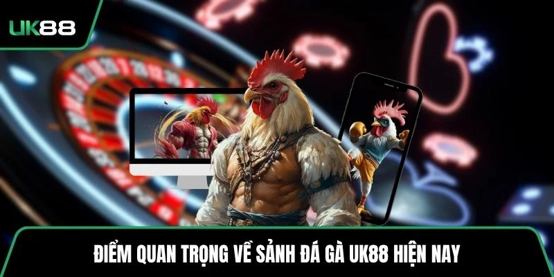 Điểm quan trọng về sảnh đá gà UK88 hiện nay