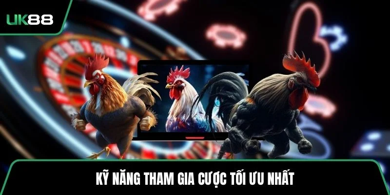 Kỹ năng tham gia cược tối ưu nhất