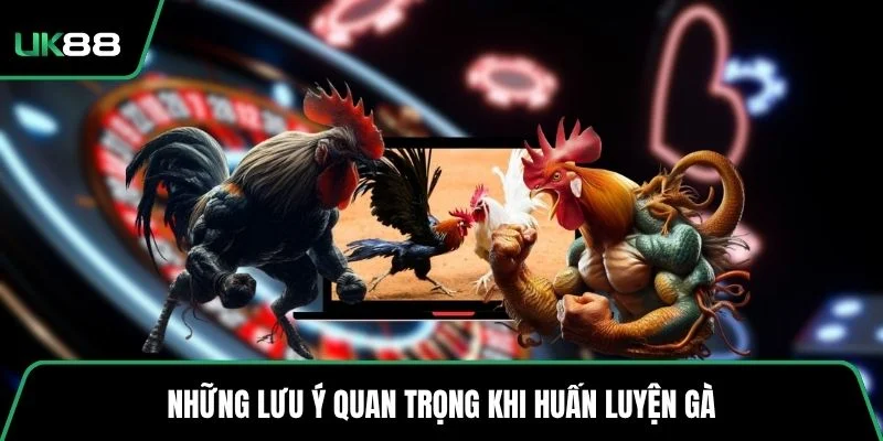 Những lưu ý quan trọng khi huấn luyện gà