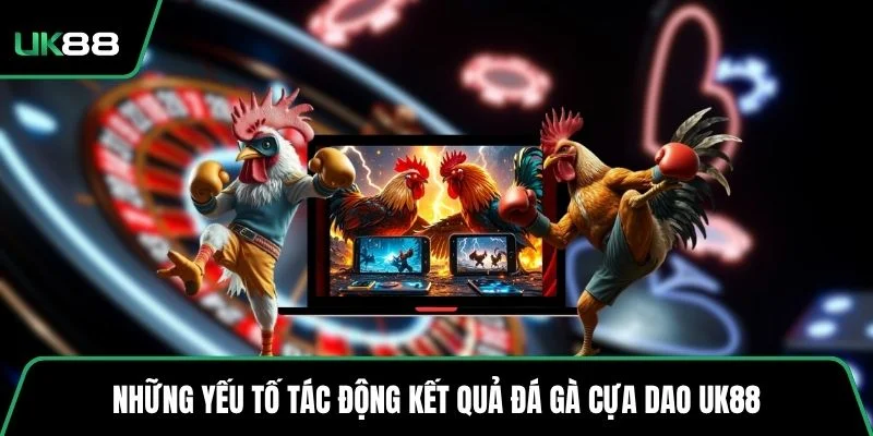Những yếu tố tác động kết quả đá gà cựa dao UK88
