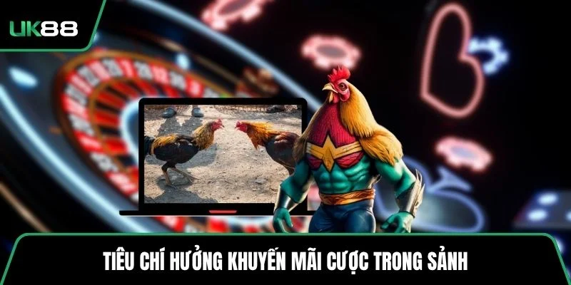 Tiêu chí hưởng khuyến mãi cược trong sảnh